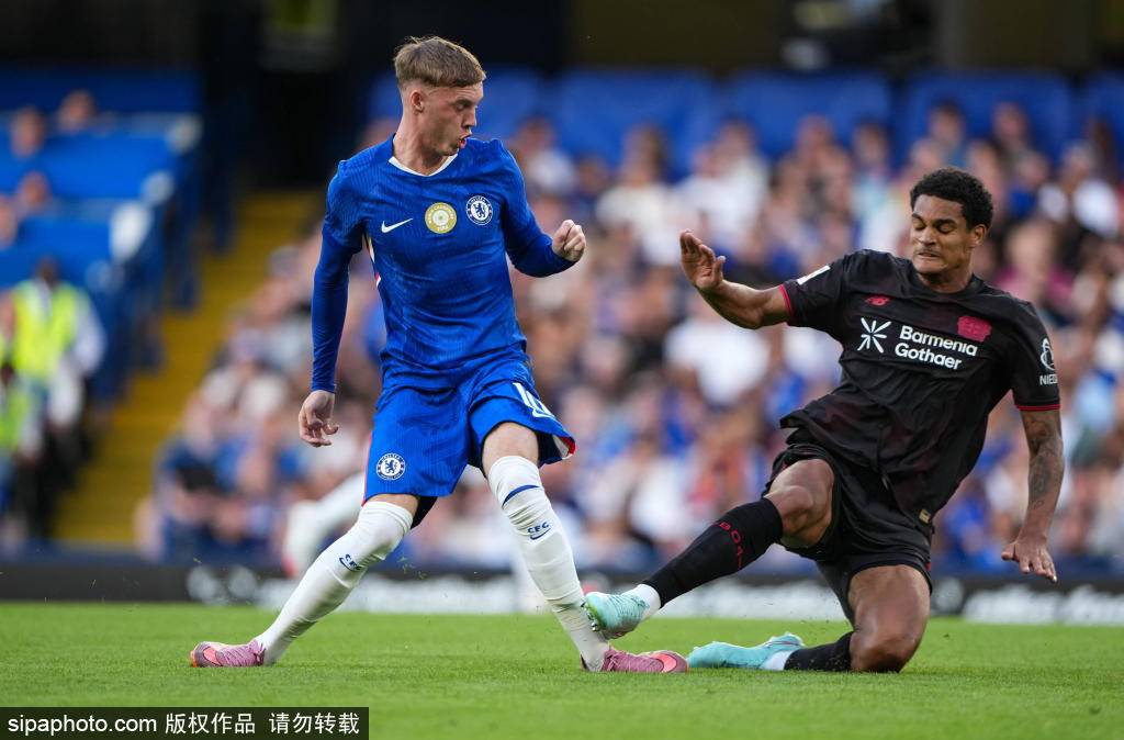 切尔西核心再伤6周！马雷斯卡如何应对蓝军伤病潮？